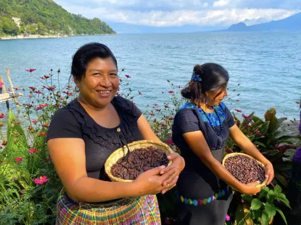 Holy Wow Cacao Ceremonial Blocks Women Collective