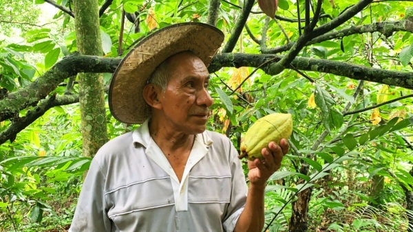 Ceremonial Cacao ~ 1-lb. - Image 11