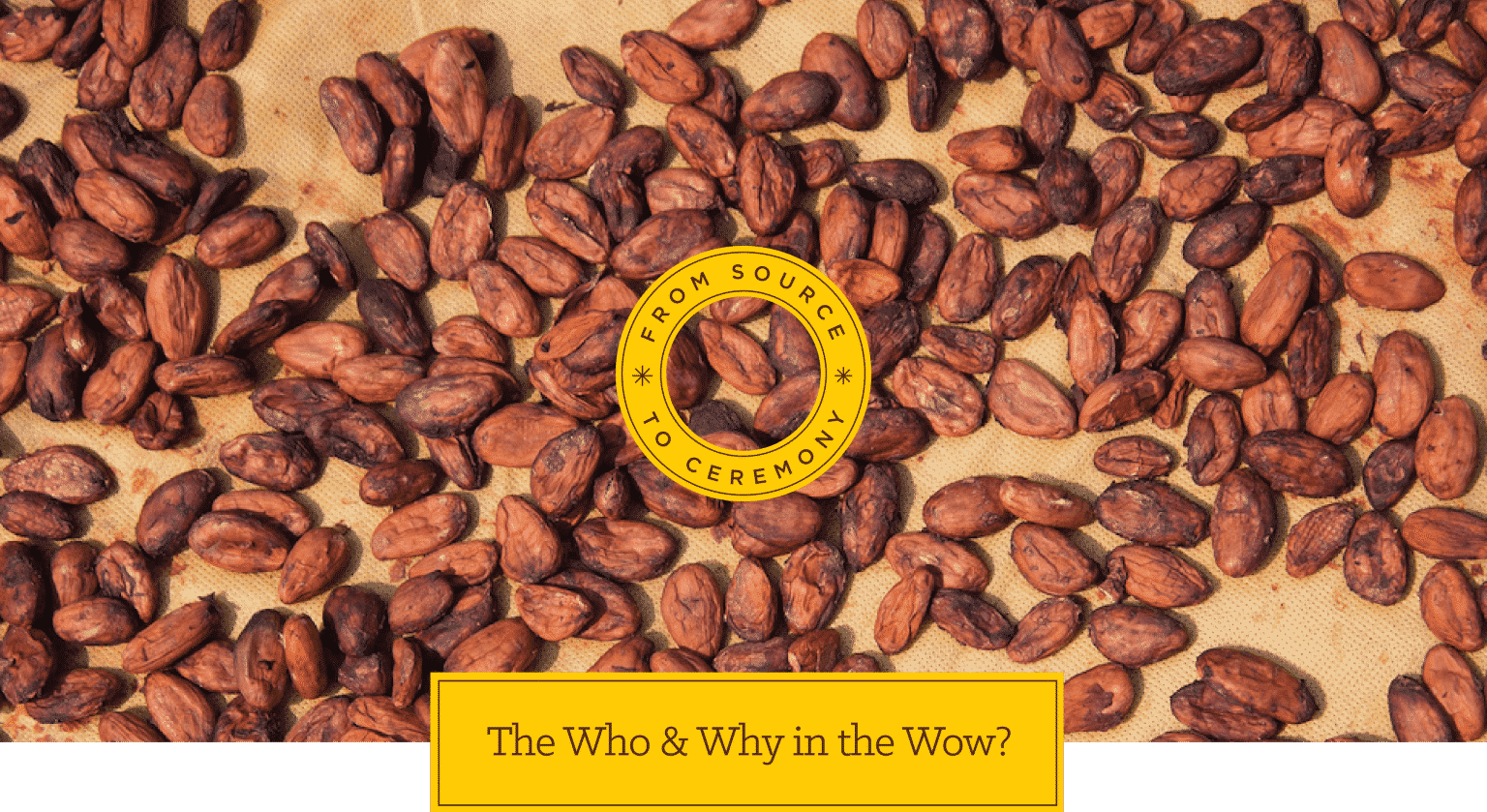 cacao