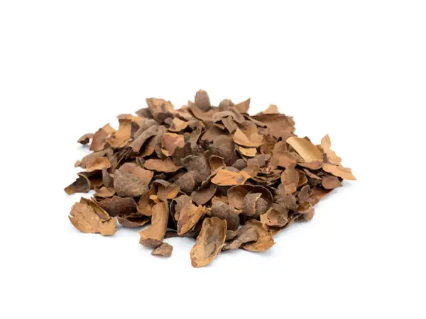 Cacao Husk Tea ~ 8-oz. Bag - Image 4