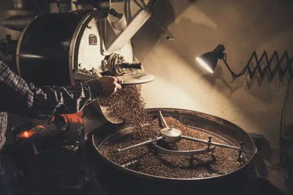 Guatemalan Coffee - Organic & Shade-Grown - Image 3
