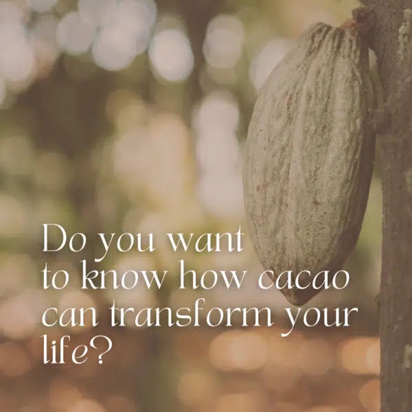 A Course in Cacao: The Art of Ceremony - Live Online June 22 - July 27, 2025 - Image 14