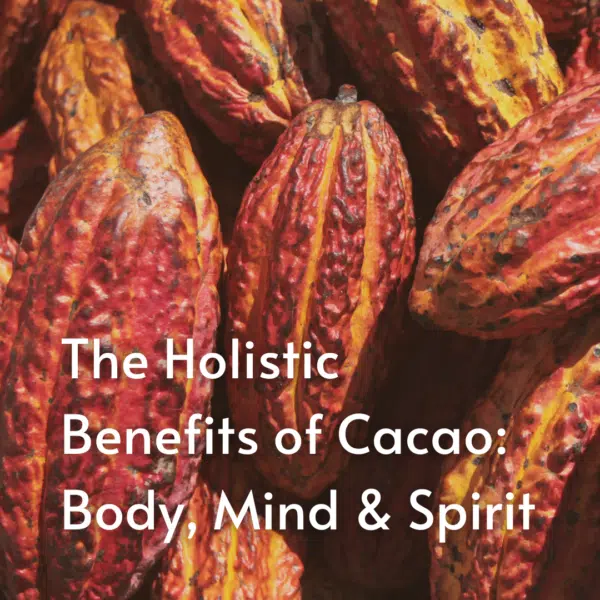 A Course in Cacao: The Art of Ceremony - Live Online June 22 - July 27, 2025 - Image 5