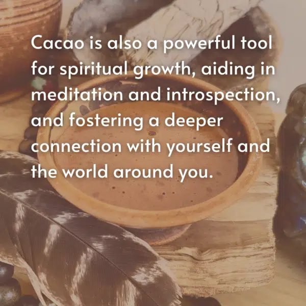 A Course in Cacao: The Art of Ceremony - Live Online June 22 - July 27, 2025 - Image 6
