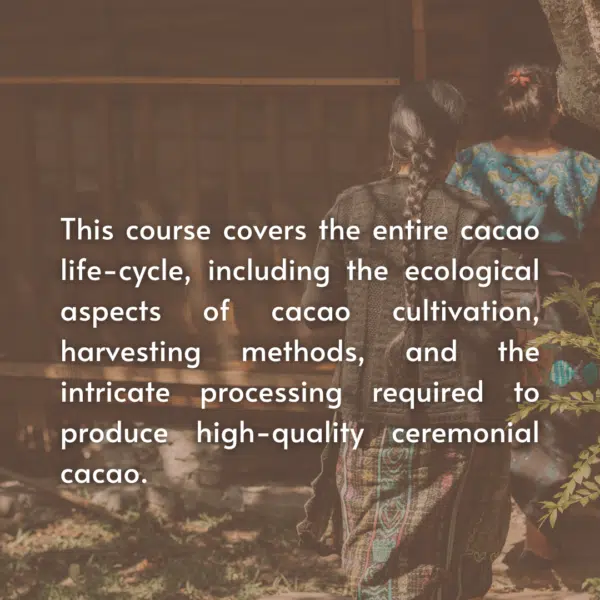 A Course in Cacao: The Art of Ceremony - Live Online June 22 - July 27, 2025 - Image 9
