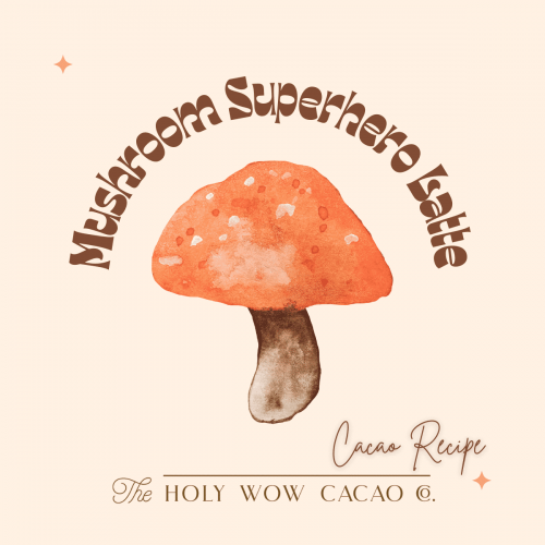 Mushroom Superhero Recipe - Holy Wow Cacao